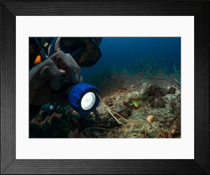 Framed Print : Reefscape - Bangka Island Framed Print : Reefscape - Bangka Island