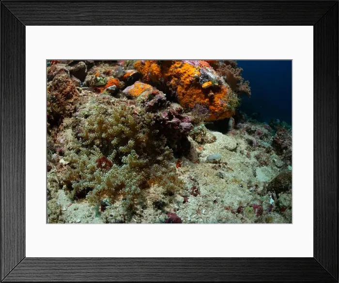 Framed Print : Reefscape - Bangka Island Framed Print : Reefscape - Bangka Island