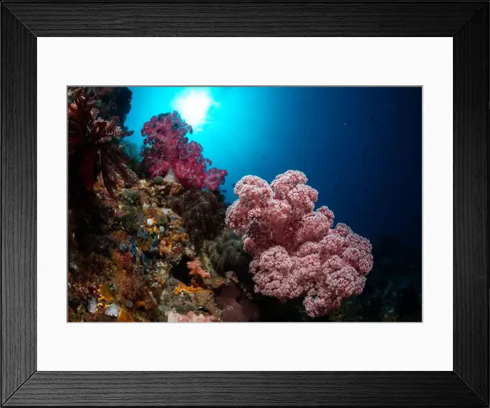 Framed Print : Reefscape - Bangka Island Framed Print : Reefscape - Bangka Island