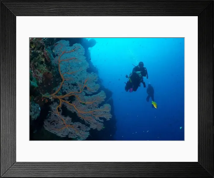 Framed Print : Bunaken Island - Reefscapes