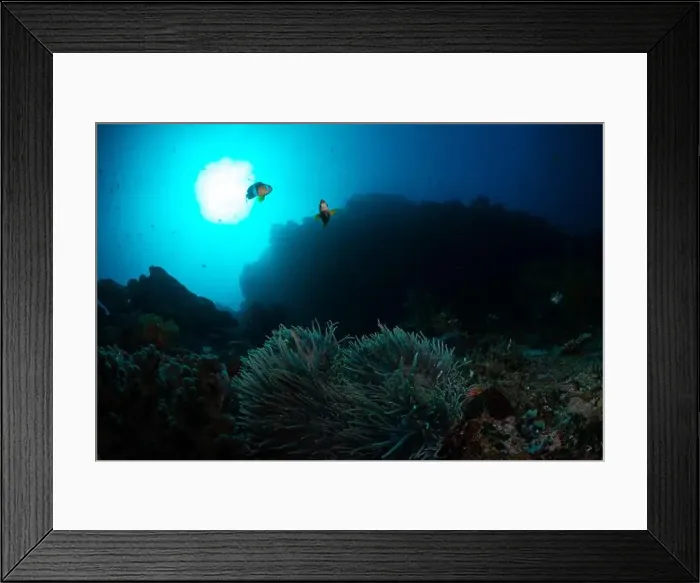 Framed Print : Reefscape - Bangka Island Framed Print : Reefscape - Bangka Island