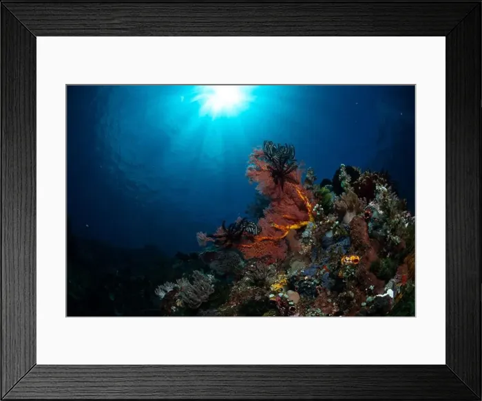 Framed Print : Reefscape - Bangka Island Framed Print : Reefscape - Bangka Island