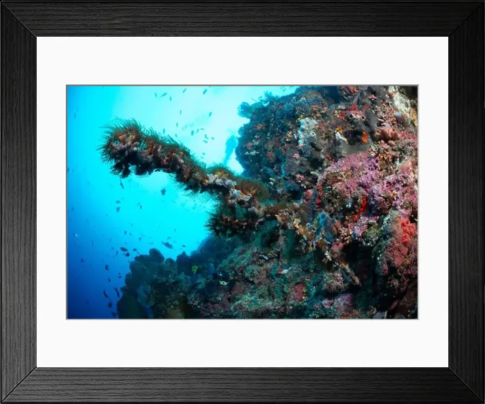 Framed Print : Bunaken Island - Reefscapes