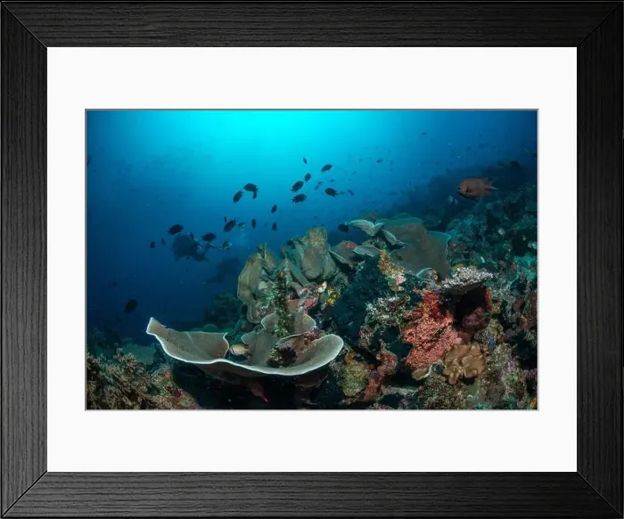 Framed Print : Reefscape - Bangka Island Framed Print : Reefscape - Bangka Island