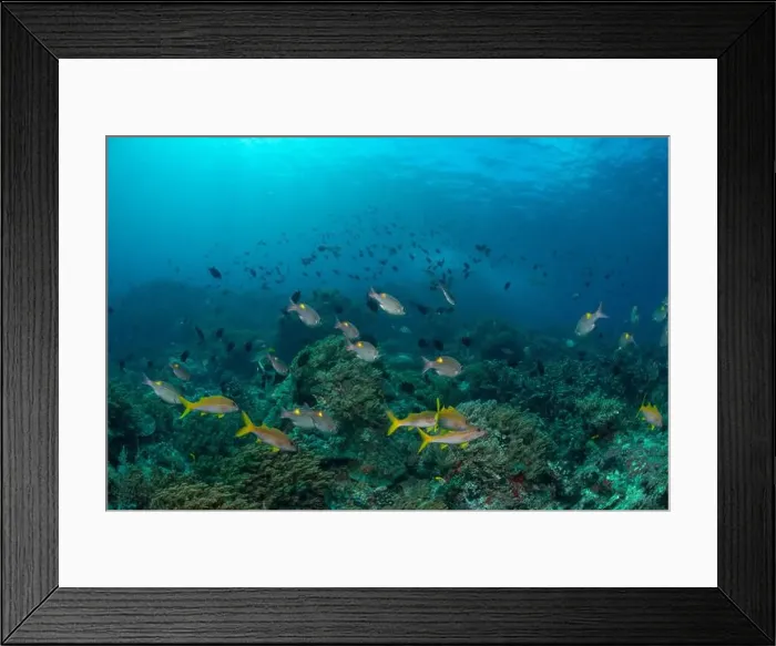 Framed Print : Reefscape - Bangka Island Framed Print : Reefscape - Bangka Island