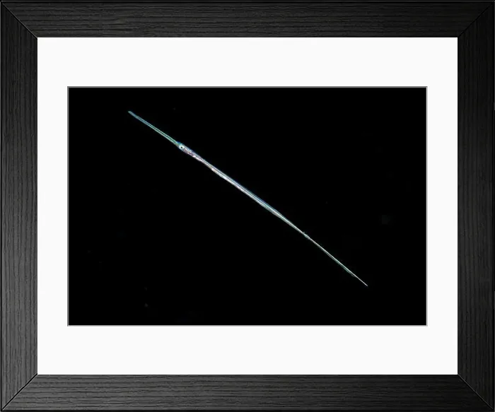 Framed Print : Black water diving Framed Print : Black water diving