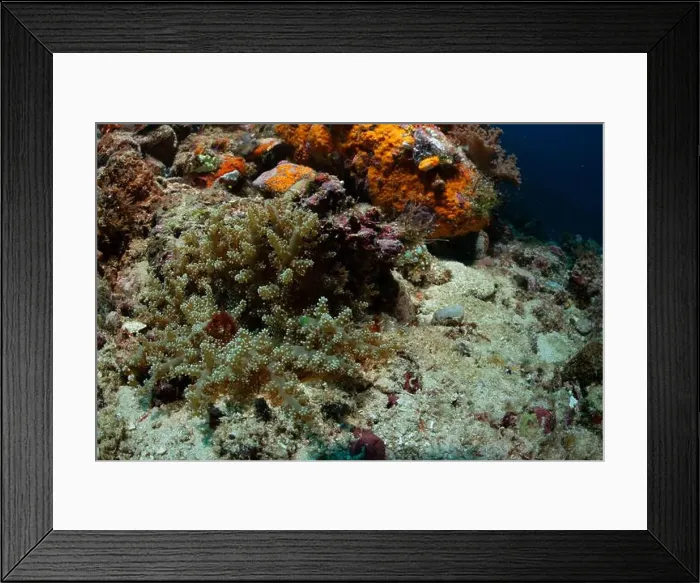 Framed Print : Reefscape - Bangka Island Framed Print : Reefscape - Bangka Island