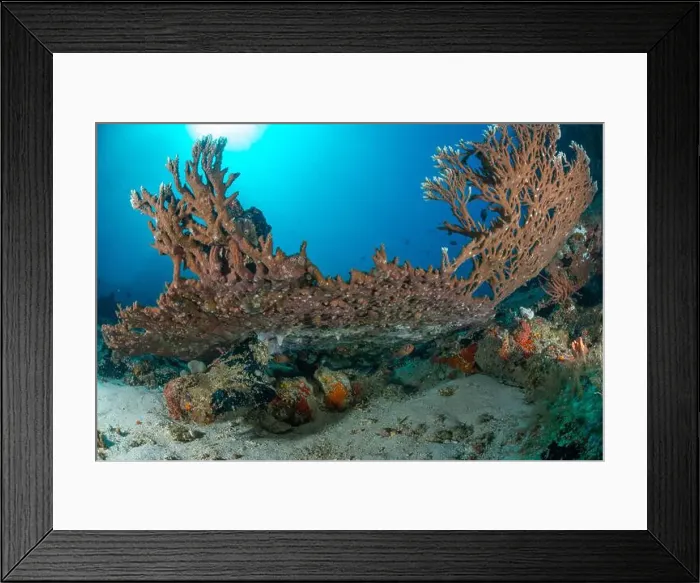 Framed Print : Reefscape - Bangka Island Framed Print : Reefscape - Bangka Island