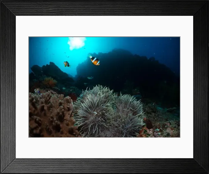 Framed Print : Reefscape - Bangka Island Framed Print : Reefscape - Bangka Island