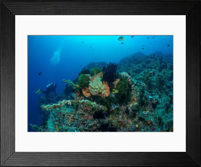 Framed Print : Reefscape - Bangka Island Framed Print : Reefscape - Bangka Island
