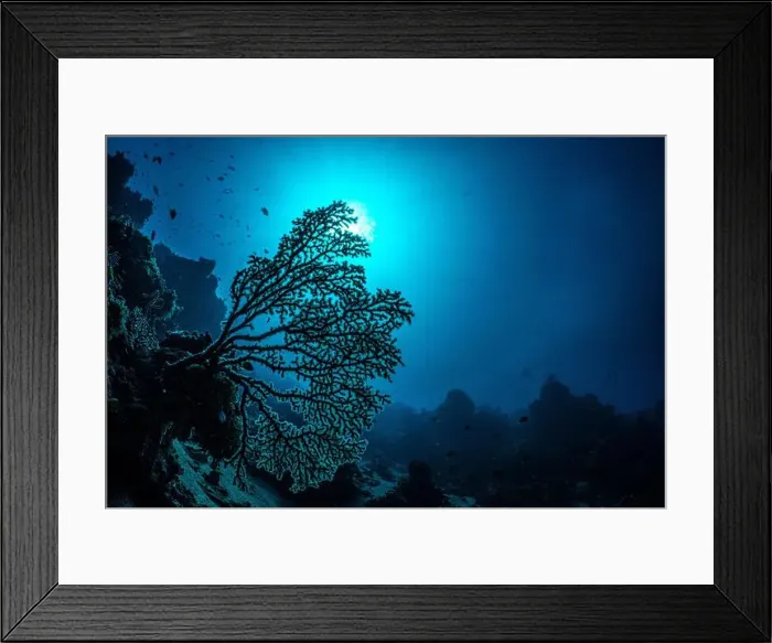 Framed Print : Bunaken Island - Reefscapes