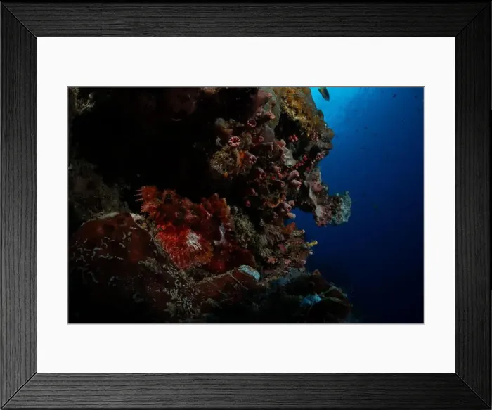 Framed Print : Bunaken Island - Reefscapes Framed Print : Bunaken Island - Reefscapes