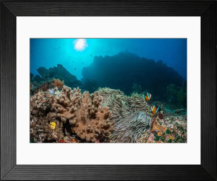 Framed Print : Reefscape - Bangka Island Framed Print : Reefscape - Bangka Island