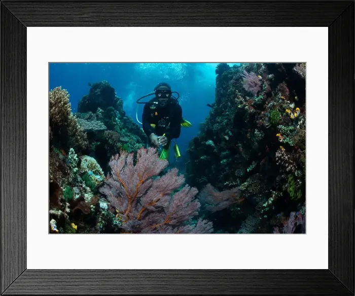 Framed Print : Reefscape - Bangka Island Framed Print : Reefscape - Bangka Island