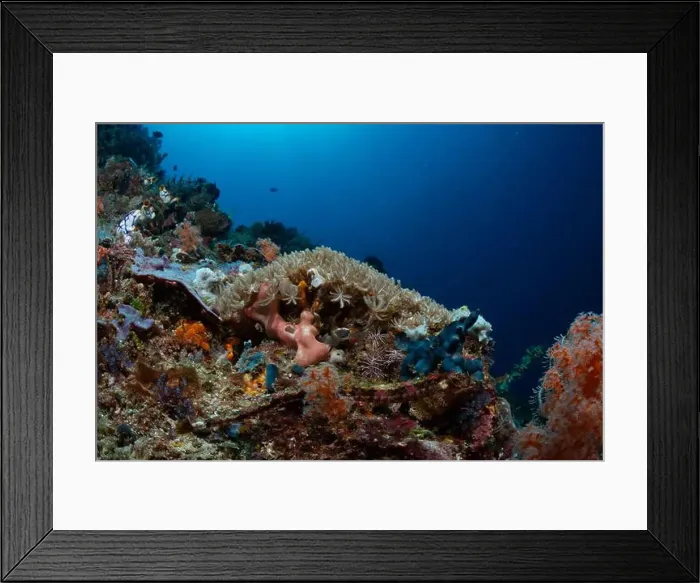 Framed Print : Reefscape - Bangka Island Framed Print : Reefscape - Bangka Island