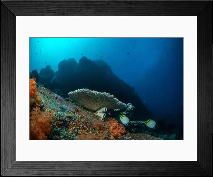 Framed Print : Reefscape - Bangka Island Framed Print : Reefscape - Bangka Island