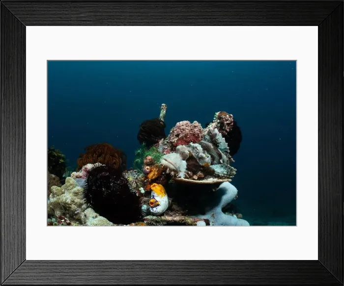 Framed Print : Reefscape - Bangka Island Framed Print : Reefscape - Bangka Island