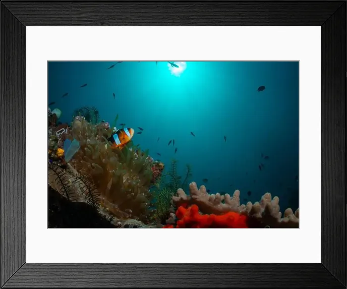 Framed Print : Reefscape - Bangka Island Framed Print : Reefscape - Bangka Island