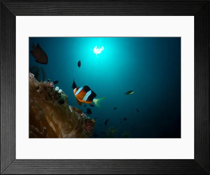 Framed Print : Reefscape - Bangka Island Framed Print : Reefscape - Bangka Island