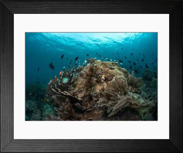 Framed Print : Reefscape - Bangka Island Framed Print : Reefscape - Bangka Island