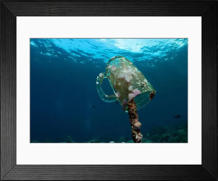 Framed Print : Reefscape - Bangka Island Framed Print : Reefscape - Bangka Island