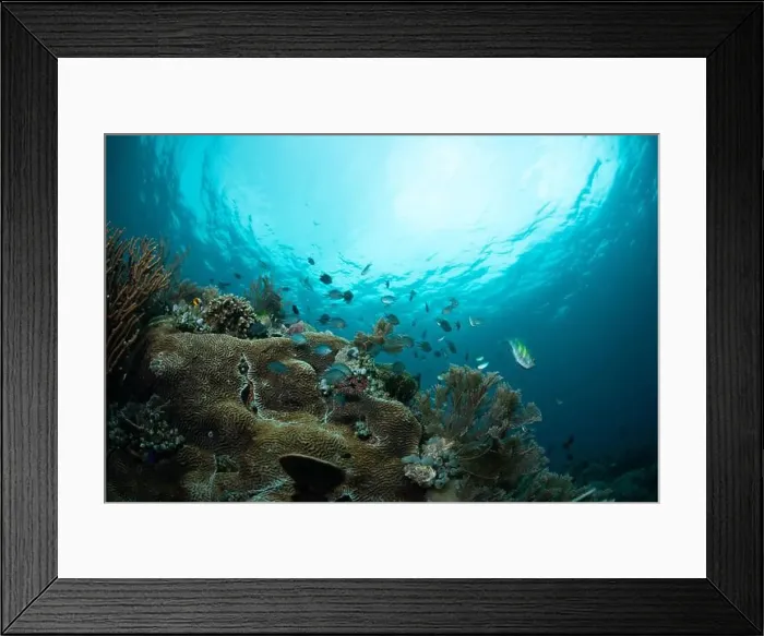 Framed Print : Reefscape - Bangka Island Framed Print : Reefscape - Bangka Island