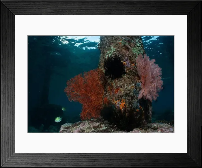 Framed Print : Reefscape - Bangka Island Framed Print : Reefscape - Bangka Island