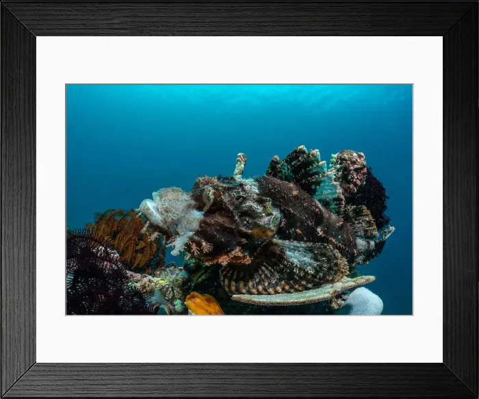 Framed Print : Reefscape - Bangka Island Framed Print : Reefscape - Bangka Island