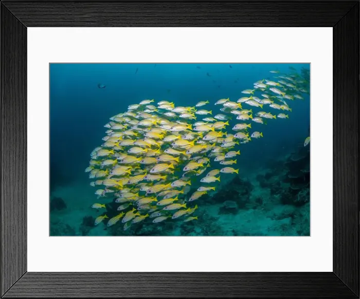 Framed Print : Reefscape - Bangka Island Framed Print : Reefscape - Bangka Island