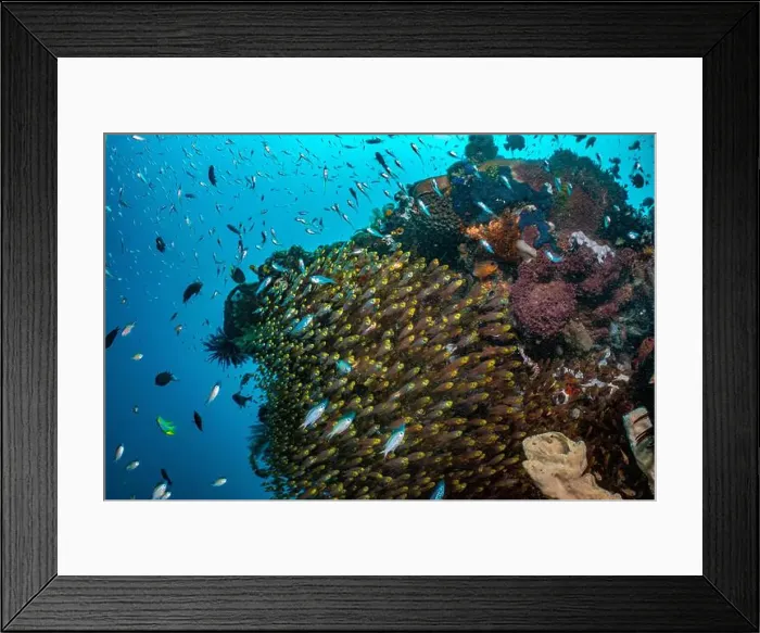 Framed Print : Reefscape - Bangka Island Framed Print : Reefscape - Bangka Island
