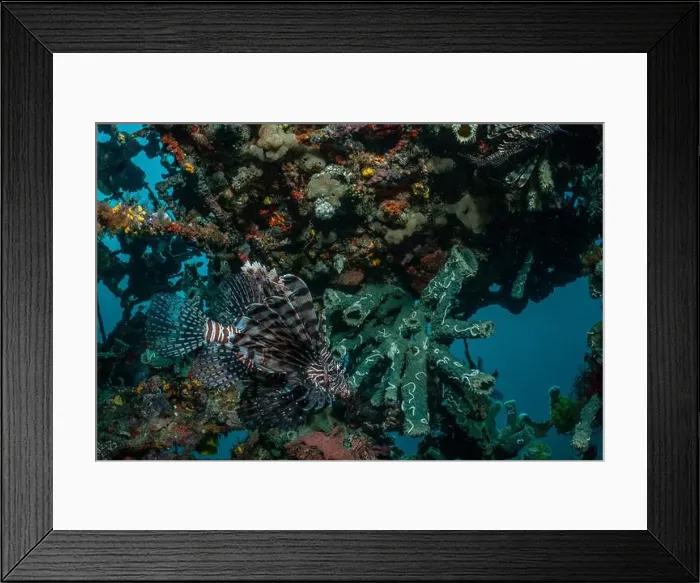 Framed Print : Reefscape - Bangka Island Framed Print : Reefscape - Bangka Island