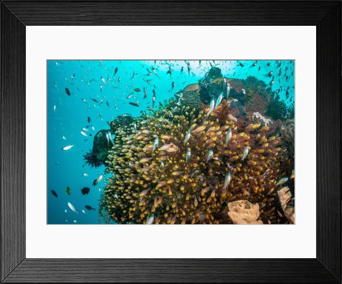 Framed Print : Reefscape - Bangka Island Framed Print : Reefscape - Bangka Island