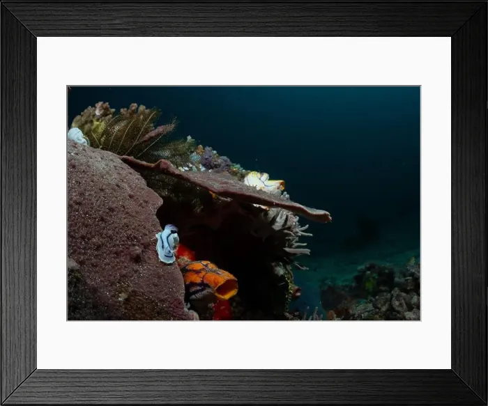 Framed Print : Reefscape - Bangka Island Framed Print : Reefscape - Bangka Island