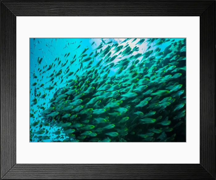 Framed Print : Reefscape - Bangka Island Framed Print : Reefscape - Bangka Island