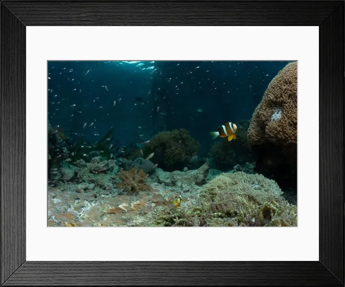 Framed Print : Reefscape - Bangka Island Framed Print : Reefscape - Bangka Island