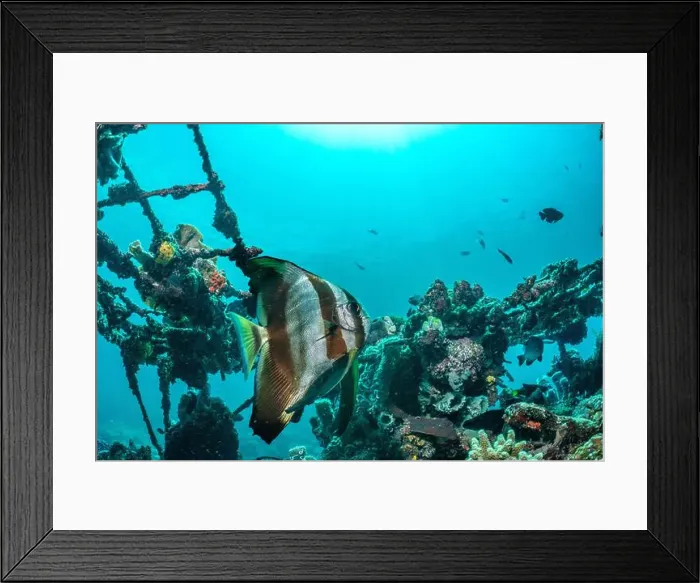 Framed Print : Reefscape - Bangka Island Framed Print : Reefscape - Bangka Island