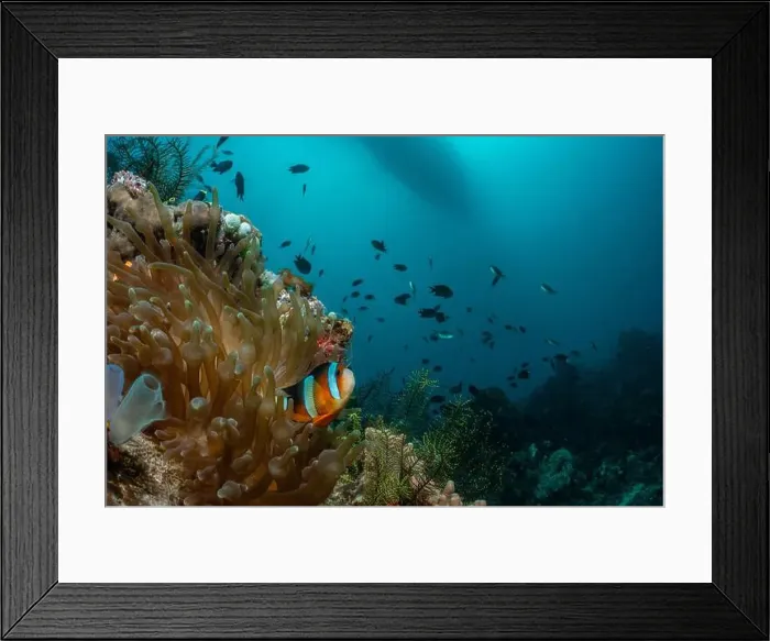 Framed Print : Reefscape - Bangka Island Framed Print : Reefscape - Bangka Island