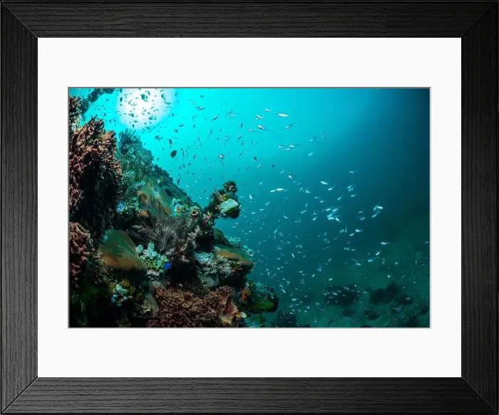 Framed Print : Reefscape - Bangka Island Framed Print : Reefscape - Bangka Island