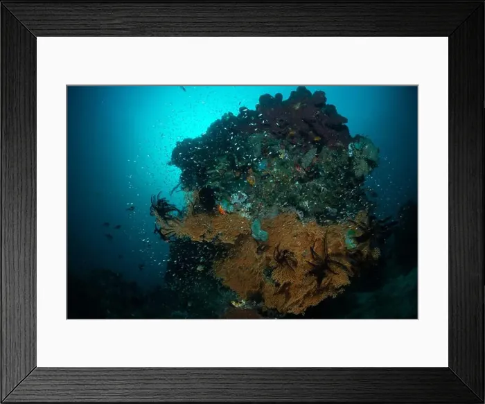 Framed Print : Reefscape - Bangka Island Framed Print : Reefscape - Bangka Island
