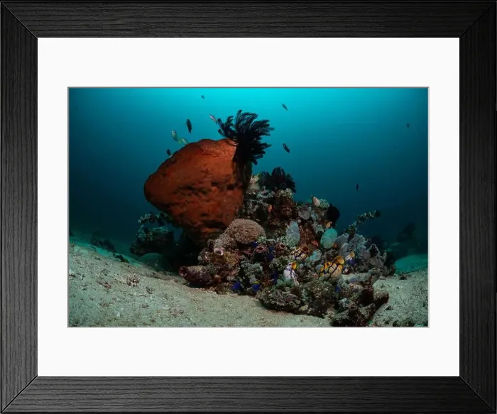Framed Print : Reefscape - Bangka Island Framed Print : Reefscape - Bangka Island