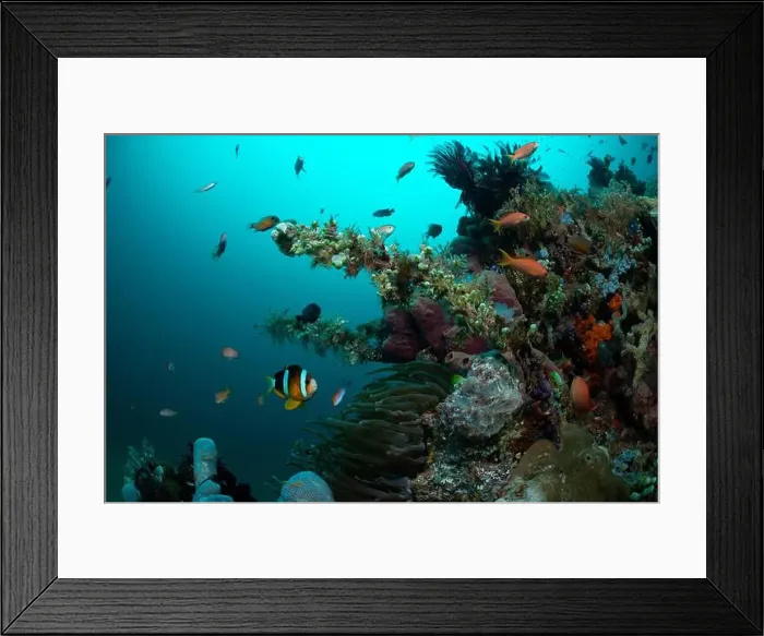 Framed Print : Reefscape - Bangka Island Framed Print : Reefscape - Bangka Island