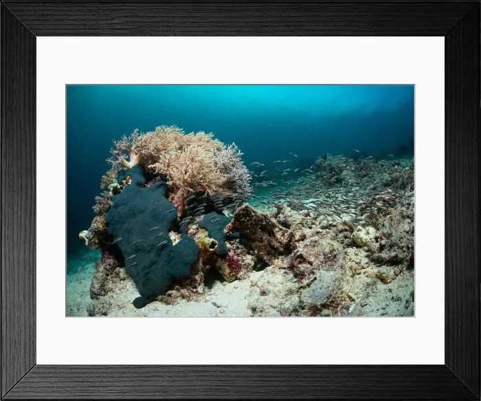 Framed Print : Reefscape - Bangka Island Framed Print : Reefscape - Bangka Island