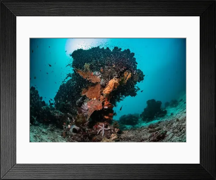 Framed Print : Reefscape - Bangka Island Framed Print : Reefscape - Bangka Island