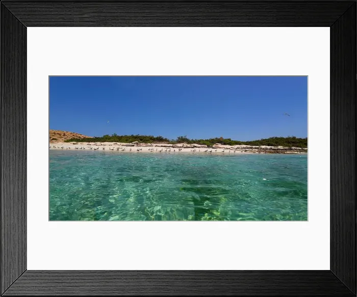 Framed Print : Photography small rock island with birds in Oman near Muscat during spring sunny day Framed Print : Photography small rock island with birds in Oman near Muscat during spring sunny day
