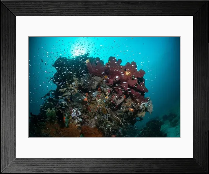 Framed Print : Reefscape - Bangka Island Framed Print : Reefscape - Bangka Island