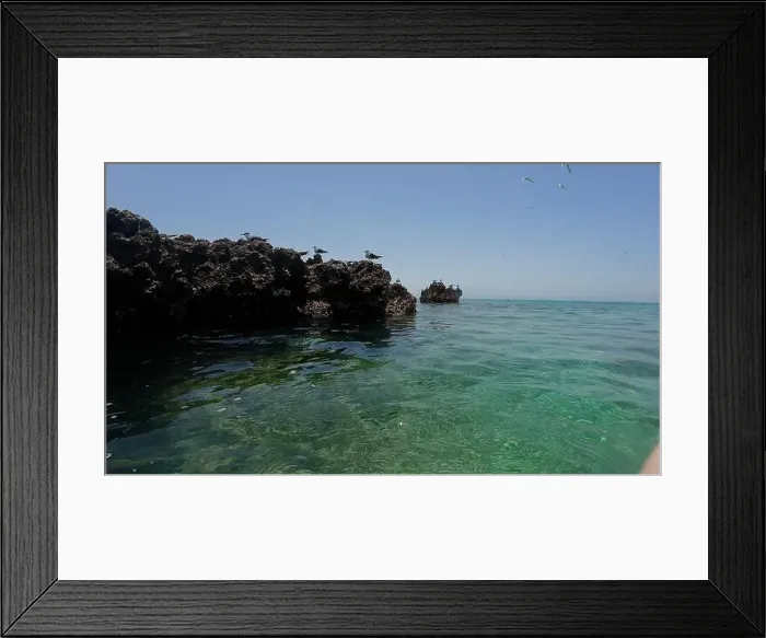Framed Print : Photography small rock island with birds in Oman near Muscat during spring sunny day Framed Print : Photography small rock island with birds in Oman near Muscat during spring sunny day