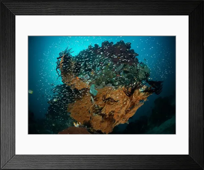 Framed Print : Reefscape - Bangka Island Framed Print : Reefscape - Bangka Island