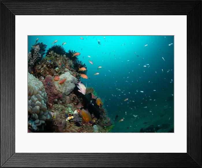 Framed Print : Reefscape - Bangka Island Framed Print : Reefscape - Bangka Island
