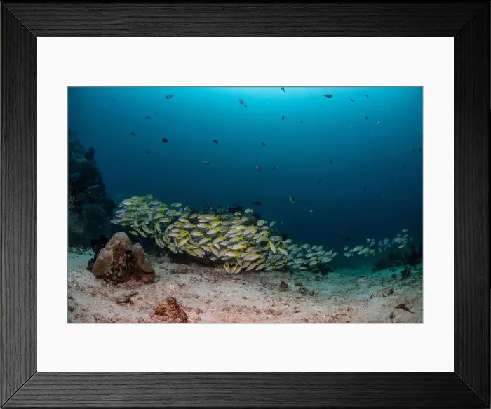 Framed Print : Reefscape - Bangka Island Framed Print : Reefscape - Bangka Island