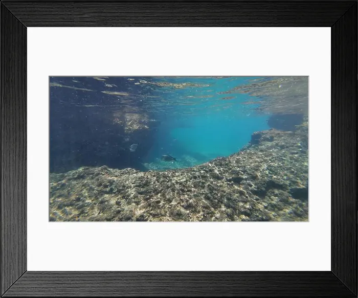 Framed Print : Photography of fish and corals in Oman near Muscat during spring sunny day Framed Print : Photography of fish and corals in Oman near Muscat during spring sunny day